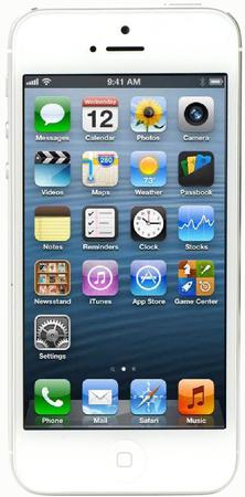 Смартфон Apple iPhone 5 64Gb White & Silver - Великий Новгород