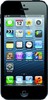 Apple iPhone 5 16GB - Великий Новгород