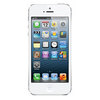 Apple iPhone 5 32Gb white - Великий Новгород