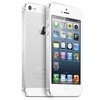 Apple iPhone 5 64Gb white - Великий Новгород